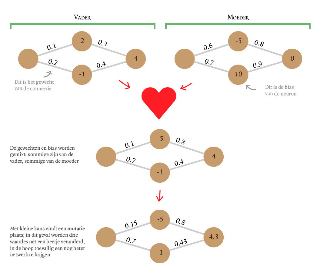 Uploads 2018 04 machine learning voortplanting 02.png